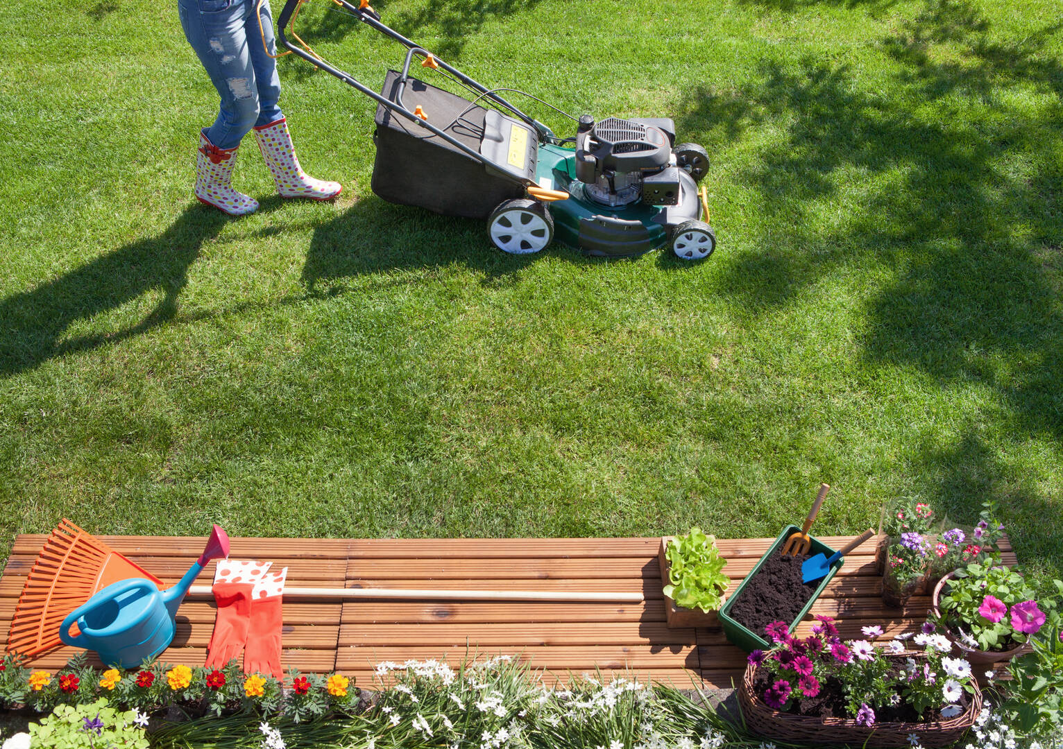 Tree Pruning Services Vero Beach