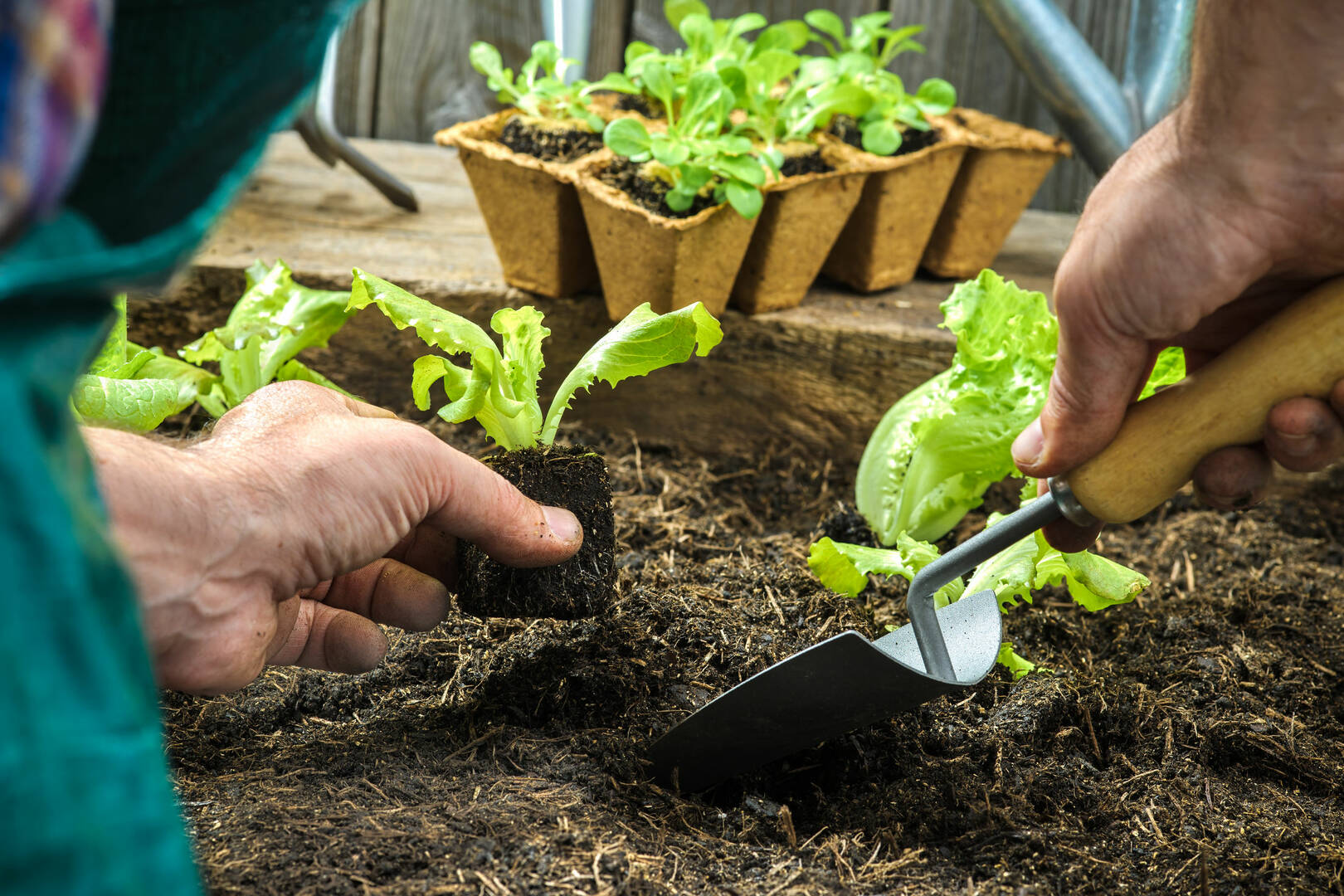 Landscape Renovation Company Pewaukee WI