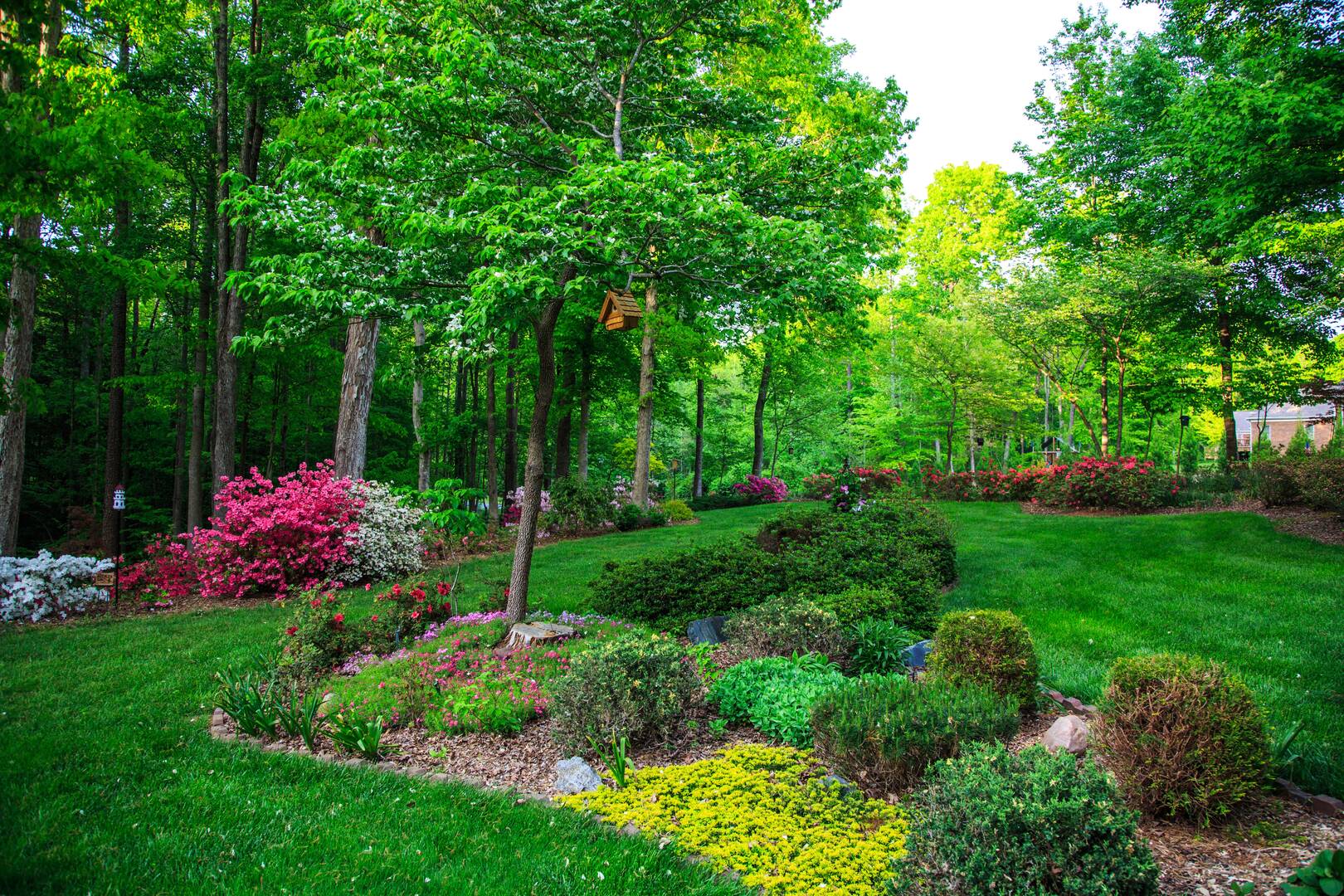 Tree Care Service Stoughton Wi