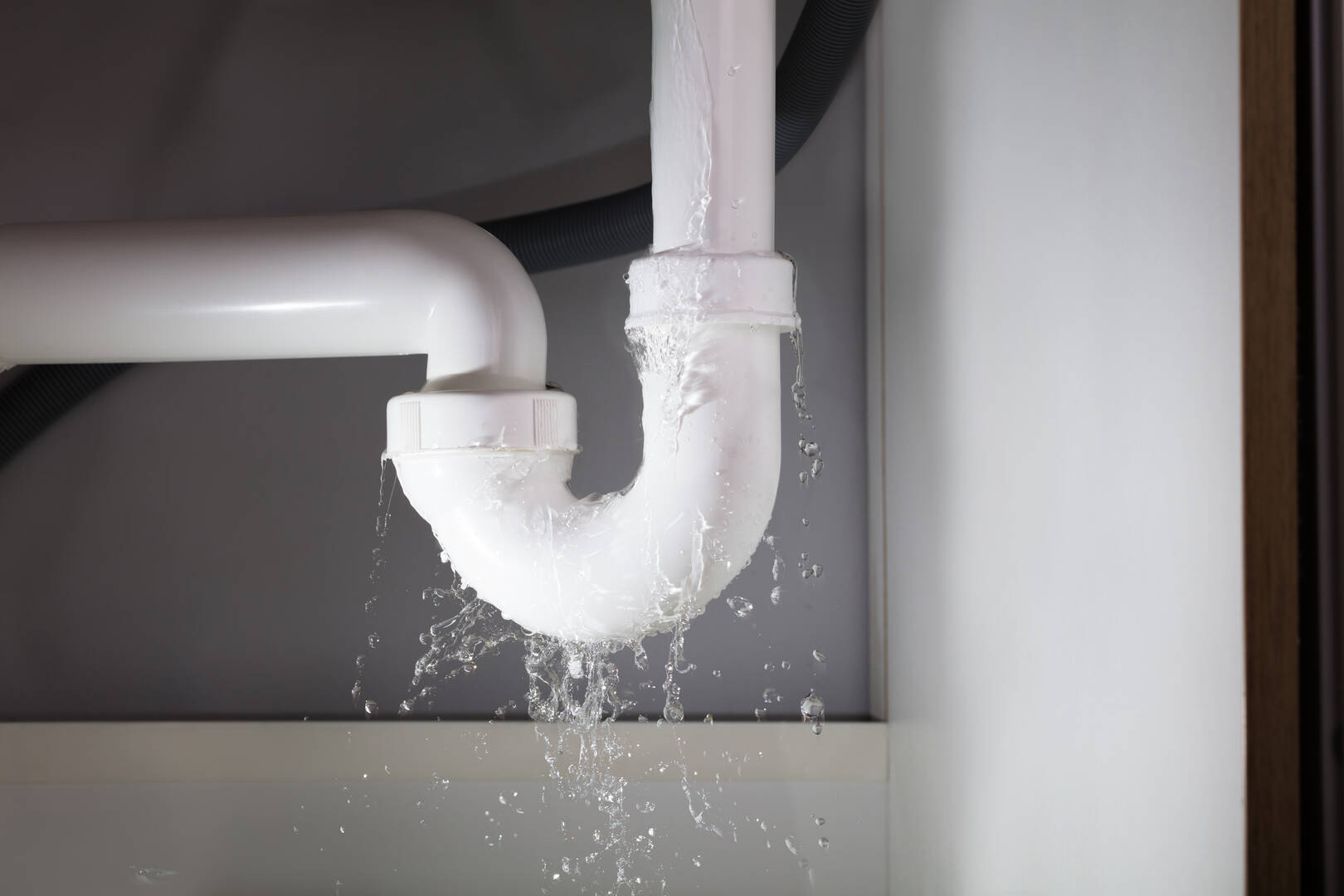 Plumber Fort Collins CO